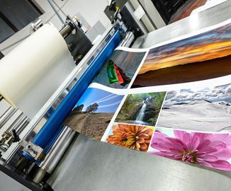 Print & Publishing